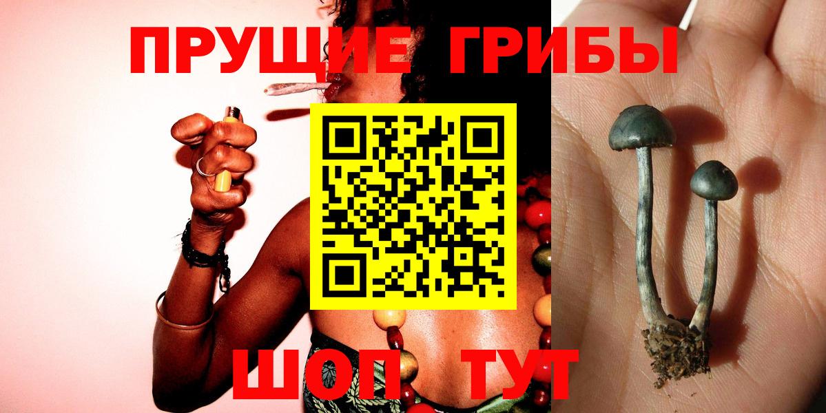 Галлюциногенные грибы мухоморы  Вход с VPN  Северск  Галлюциногенные грибы прущие грибы 