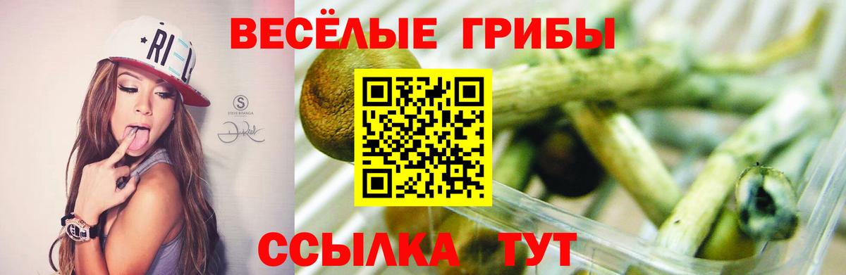 Галлюциногенные грибы ЛСД Северск